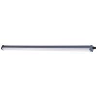 Philips LED ProjectLine LED-lamp voor vochtige ruimte LED LED 34 W Koudwit Zwart