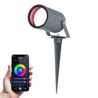 Spikey Smart prikspot - RGBWW - Wifi + Bluetooth - 5,5 Watt 345 lumen - IP65 Waterdicht - Bestuurbaar via app - Google Home, Amazon Alexa en Siri - Antraciet