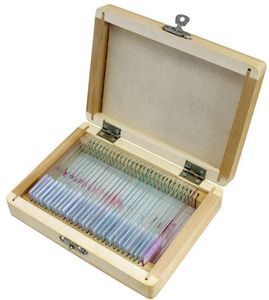 Bresser Microscoop preparaten 30 stuks: Dieren