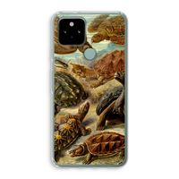 Haeckel Chelonia: Google Pixel 5 Transparant Hoesje