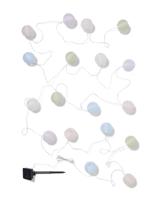 HEMA Lichtsnoer 8.95m met 18 led-lampions kleur voor binnen en buiten