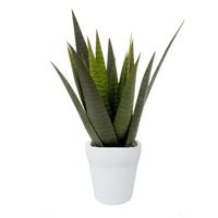 Kunstplant Aloe Vera - in pot -  23 cm   - - thumbnail