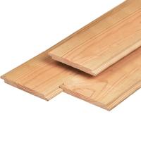 Wisselsponning douglas 1,8x19,5x400 cm Tuindeco - Tuindeco Wisselsponning douglas 1,8x19,5x400 cm Tuindeco - Tuindeco