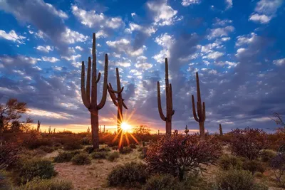 Alexsar Art schilderij Glas art arizona desert 90x60cm