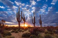 Alexsar Art schilderij Glas art arizona desert 90x60cm