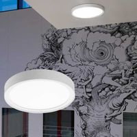 SG rond armatuur Disc 290 wit 2700k 17W 1890 lumen dimbaar 288mm doorsnede
