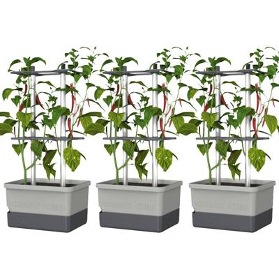 Gusta Garden CHARLY CHILI 3er-Set hellgrau / W07076 Plantcontainer