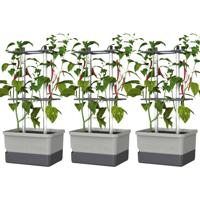 Gusta Garden CHARLY CHILI 3er-Set hellgrau / W07076 Plantcontainer