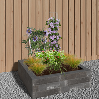 Borderpakket Landelijke Tuin - 1m² Borderpakket Landelijke Tuin - 1m²