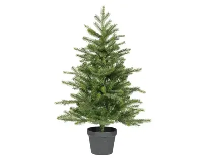 Everlands grandis miniboom pot h90cm groen