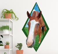 Muursticker nieuwsgierig paard