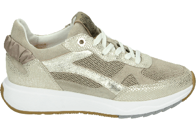 Floris van Bommel SUVI 04.03 - alle