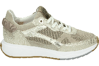 Floris van Bommel SUVI 04.03 - alle