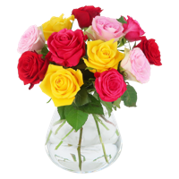 Colorful Roses - brievenbusboeket kleurrijk Colorful Roses - brievenbusboeket kleurrijk