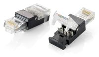 Equip 121163 kabel-connector RJ-45 Zwart, Transparant