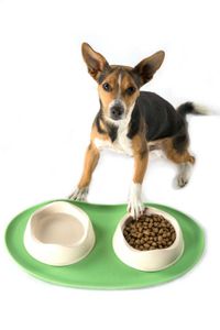 Onderlegger Place Mat Groen