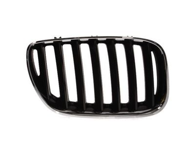 Radiateurgrille 6502070095996P