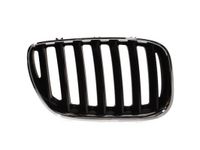 Radiateurgrille 6502070095996P Radiateurgrille 6502070095996P