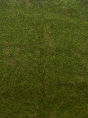 Moss mat green 100x100 cm kunstbloem - Nova nature