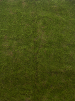 Moss mat green 100x100 cm kunstbloem - Nova nature