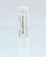 Homeoden Heel Belladonna D12 6 Gram