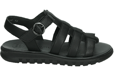 Paul Green 6204 - alle