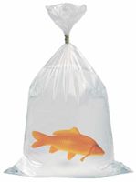 Europond Vistransportzakken 35x75cm 0,06mm Duurzaam | 250 stuks - Professioneel & Ruim