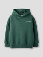 Name it winter sweater jongens - groen - NkmLiam