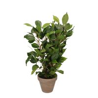 Groene ficus kunstplant 40 cm - Kunstplanten