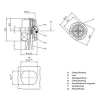 Lutronic 1231 Sensor/actuator steekconnector M12 Aantal polen: 4 Stekker, inbouw 0.50 m 1 stuk(s)