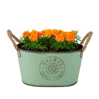 Plantenpot/bloempot teil voor buiten - zink - jadegroen - L29 x D18 x H15 cm - thumbnail