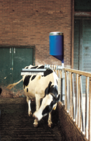 Vink Veeborstel Compleet met Huidverzorger