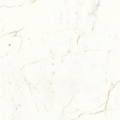 Atlas Concorde Marvel Shine A5TD vloertegel 60x60cm 9mm zijdeglans rect. Cal.Prest.