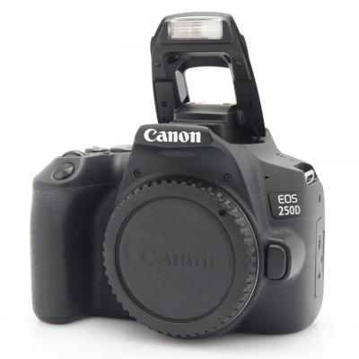 Canon EOS 250D body occasion