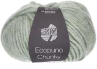 Lana Grossa Ecopuno Chunky 120 Mint