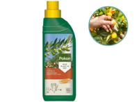 Pokon Citrus Planten Voeding - 250ml - Voor Citrus en Mediterrane planten