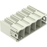 WAGO 832-3625 Female connector 20 stuk(s)