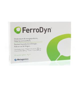 Ferrodyn