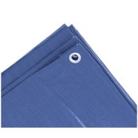 1x stuks stevig afdekzeil formaat 2 x 3 meter blauw met ringen - Afdekzeilen