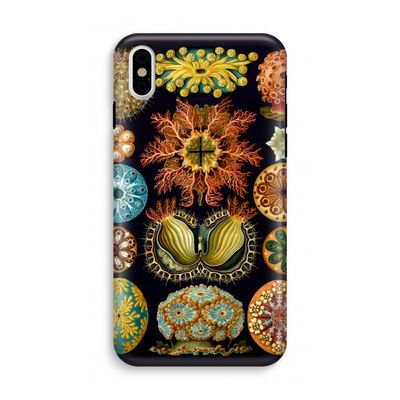 Haeckel Ascidiae: iPhone XS Tough Case