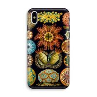 Haeckel Ascidiae: iPhone XS Tough Case