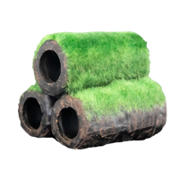 Superfish Shrimp home met mos