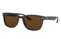 Ray-Ban RB2184 zonnebril Vierkant