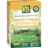 KB - Graszaden - Droog en zonnig land 40m²