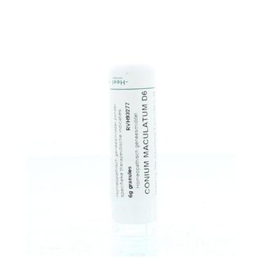 Conium maculatum D6