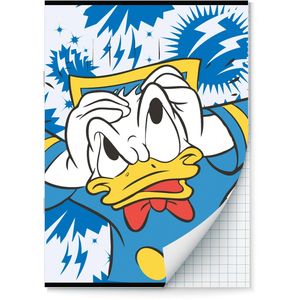 Donald Duck schriften Ruit 10 mm A4 - 2 stuks