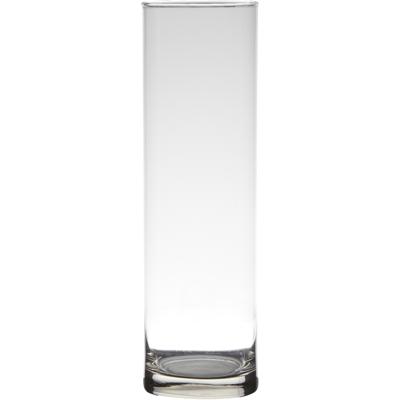 Hakbijl Glass Bloemenvaas - Transparant - cilinder - glas - D9 x H30 cm
