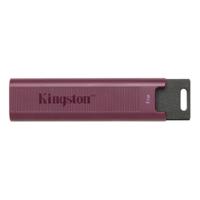 USB stick Kingston Max Rood