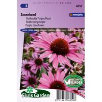 Rudbeckia purper/rood bloemzaden – Zonnehoed - thumbnail