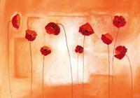 Kunstdruk Erika Heinemann - Poppy Meeting 100x70cm